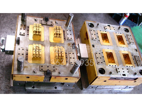 Mold 05